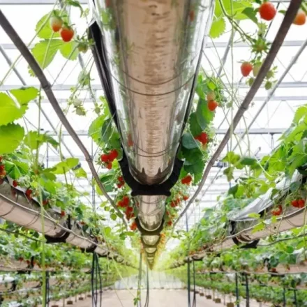 General Hydroponics