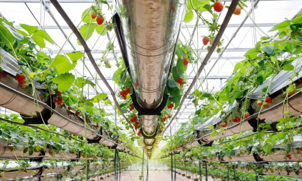 General Hydroponics