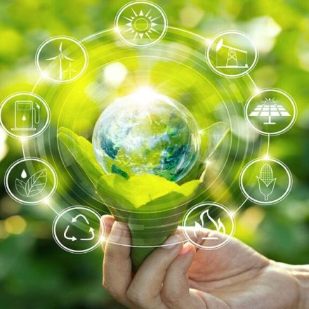 Scaling Up: Know Career Progression And Advancement In The Climate Tech Sector